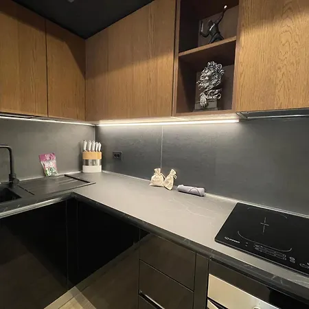 דירה Superior 1br - Fully Renovated & Equipped - Prime Centre Location - Garibaldi#2 - Parking *